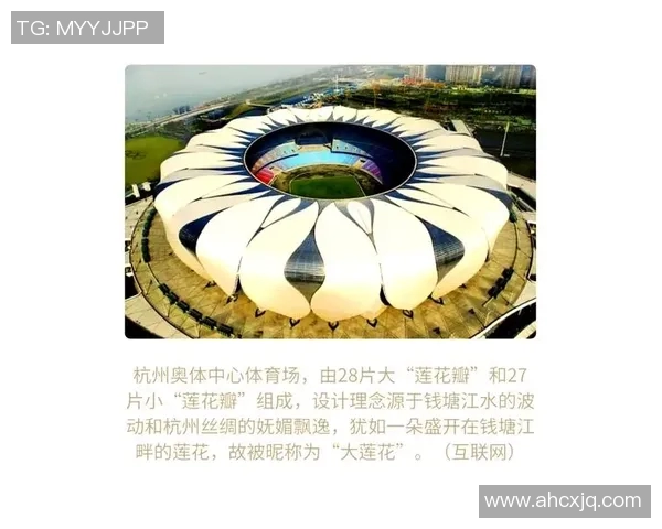 杭州网球队的转型之路:从传统到现代的全面革新探索与实践