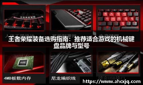 JJB竞技宝