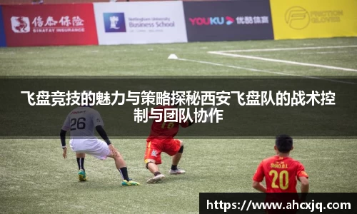 JJB竞技宝