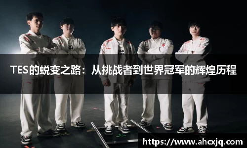 JJB竞技宝